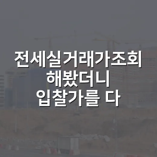 전세실거래가조회 해봤더니 입찰가를 다시 썼다 - 요약