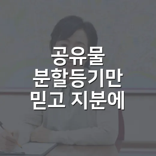 공유물 분할등기만 믿고 지분에 입찰할 뻔했다 - 요약