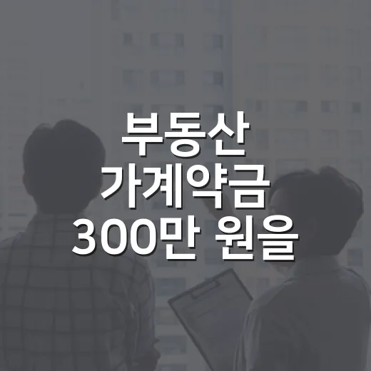 부동산 가계약금 300만 원을 보내기 전 멈춘 이유 - 요약