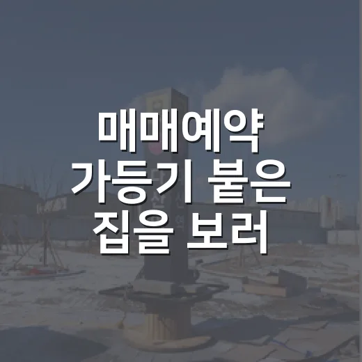 매매예약 가등기 붙은 집을 보러 갔다가 멈춘 이유 - 요약