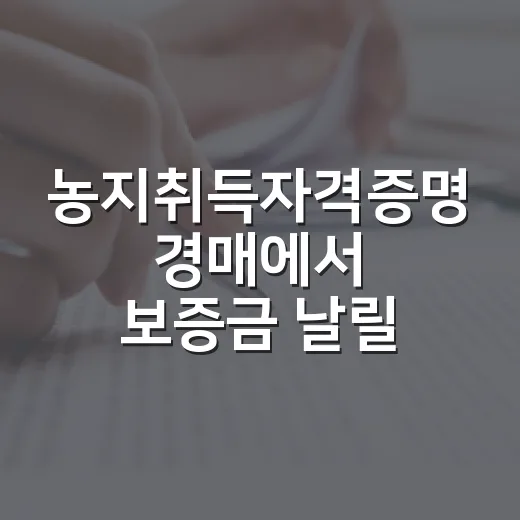 농지취득자격증명 경매에서 보증금 날릴 뻔했다 - 요약