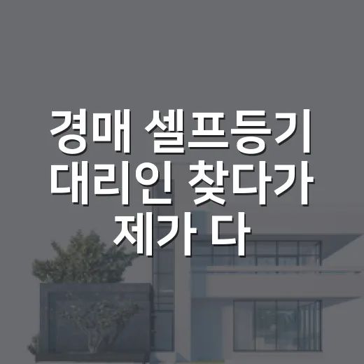 경매 셀프등기 대리인 찾다가 제가 다시 챙긴 것 - 요약