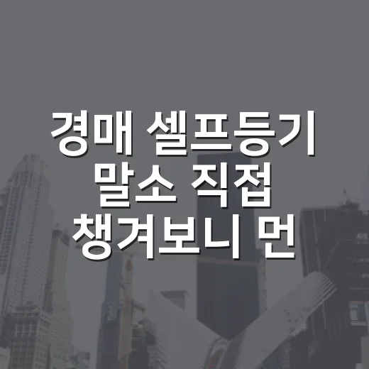 경매 셀프등기 말소 직접 챙겨보니 먼저 볼 게 있었다 - 요약