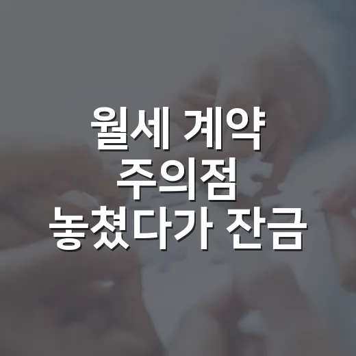 월세 계약 주의점 놓쳤다가 잔금 날 멈춘 이야기 - 요약
