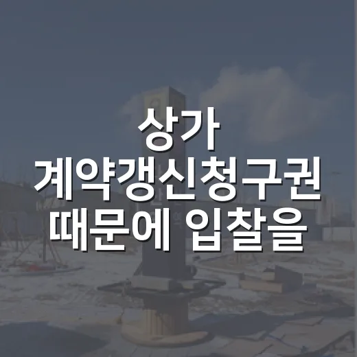 상가 계약갱신청구권 때문에 입찰을 멈춘 날 - 요약