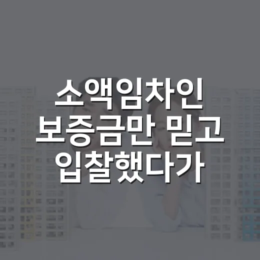 소액임차인 보증금만 믿고 입찰했다가 멈춘 이유 - 요약
