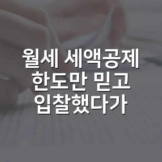 월세 세액공제 한도만 믿고 입찰했다가 놓친 것 - 요약