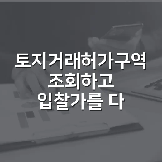 토지거래허가구역 조회하고 입찰가를 다시 썼다 - 요약