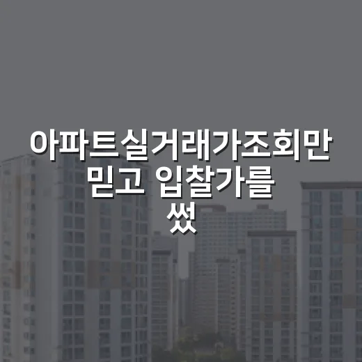 아파트실거래가조회만 믿고 입찰가를 썼다가 멈춘 이유 - 요약