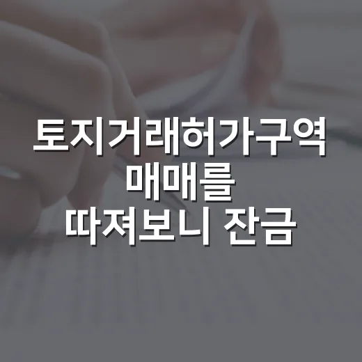 토지거래허가구역 매매를 따져보니 잔금보다 입주가 문제였다 - 요약