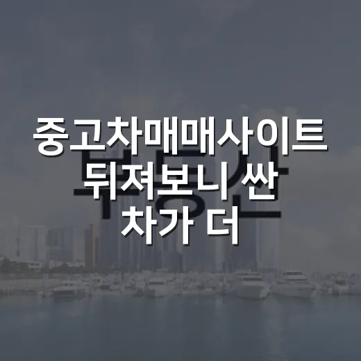 중고차매매사이트 뒤져보니 싼 차가 더 비쌌다 - 요약