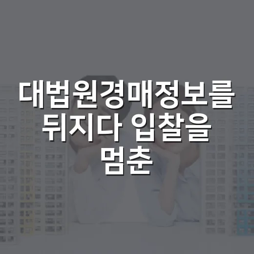 대법원경매정보를 뒤지다 입찰을 멈춘 이유 - 요약