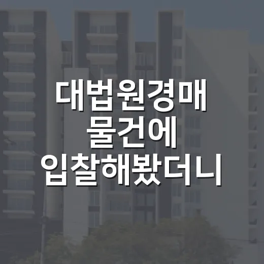 대법원경매 물건에 입찰해봤더니 가격보다 먼저 보인 것 - 요약