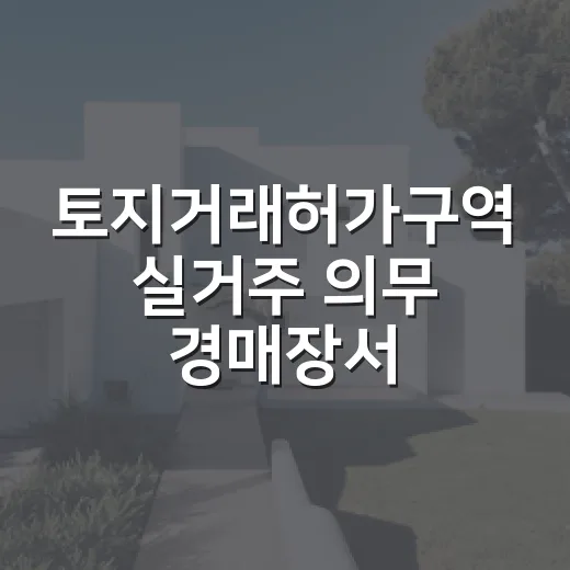 토지거래허가구역 실거주 의무 경매장서 따져봤더니 - 요약