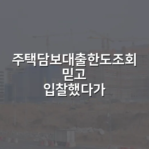 주택담보대출한도조회 믿고 입찰했다가 놀란 이유 - 요약