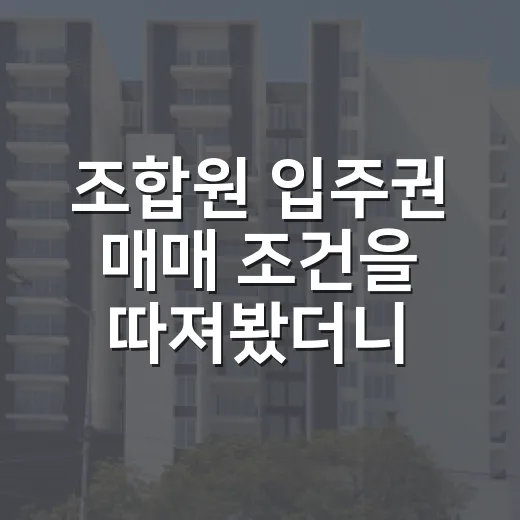 조합원 입주권 매매 조건을 따져봤더니 가격보다 무서운 게 있었다 - 요약