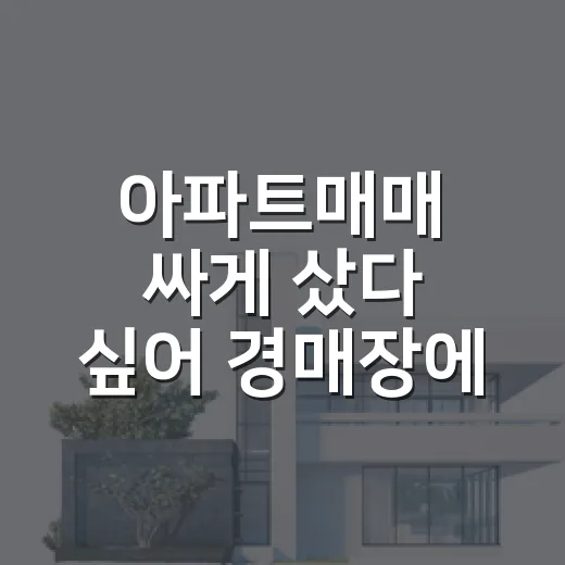 아파트매매 싸게 샀다 싶어 경매장에 갔더니 - 요약
