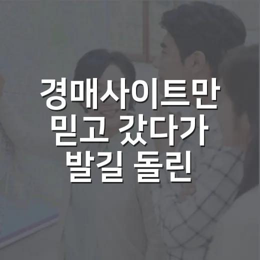 경매사이트만 믿고 갔다가 발길 돌린 날 - 요약
