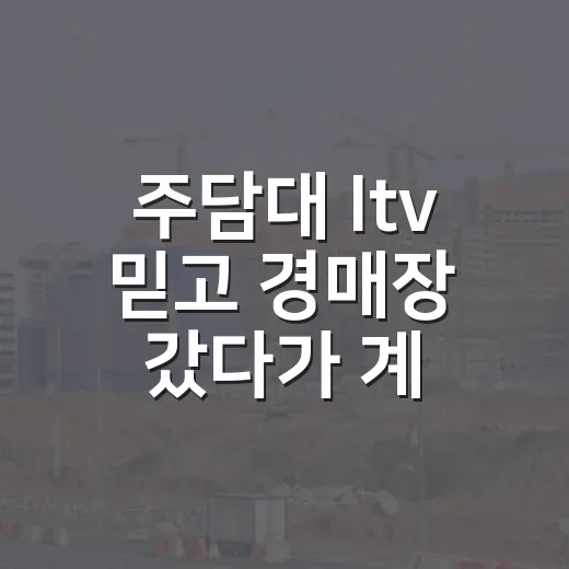 주담대 ltv 믿고 경매장 갔다가 계산을 고쳤다 - 요약