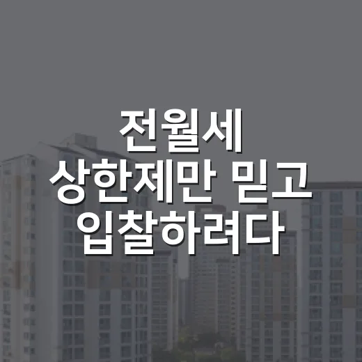 전월세 상한제만 믿고 입찰하려다 멈춘 이유 - 요약