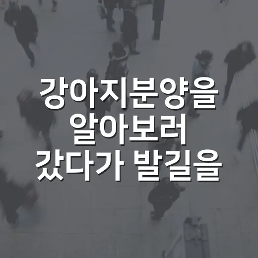 강아지분양을 알아보러 갔다가 발길을 돌린 이유 - 요약