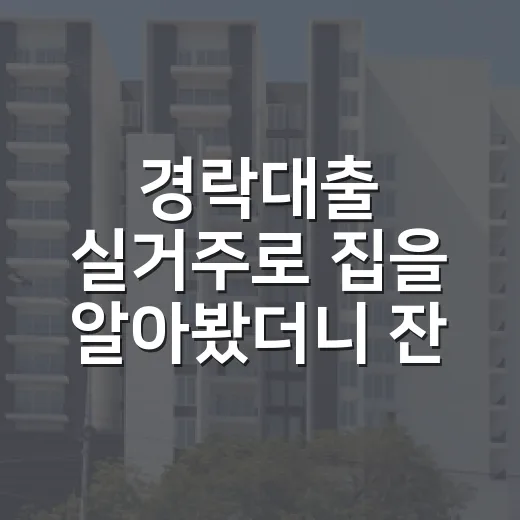 경락대출 실거주로 집을 알아봤더니 잔금보다 입주가 걱정됐다 - 요약