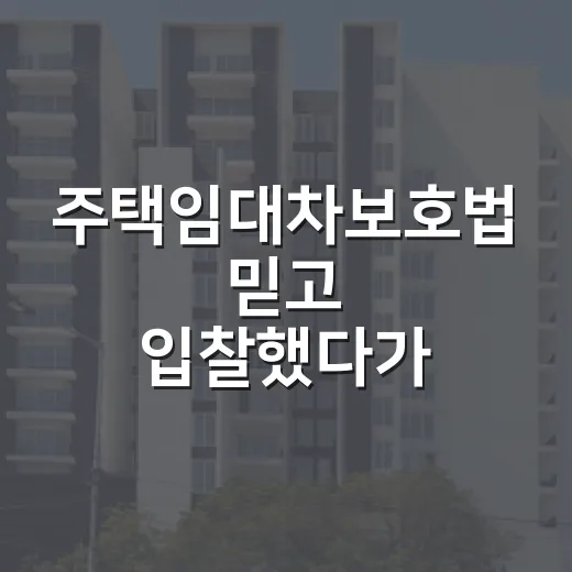 주택임대차보호법 믿고 입찰했다가 멈춘 날 - 요약