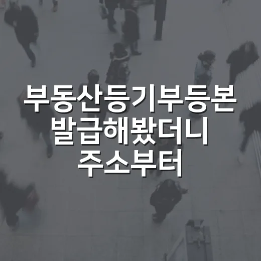 부동산등기부등본 발급해봤더니 주소부터 달랐다 - 요약