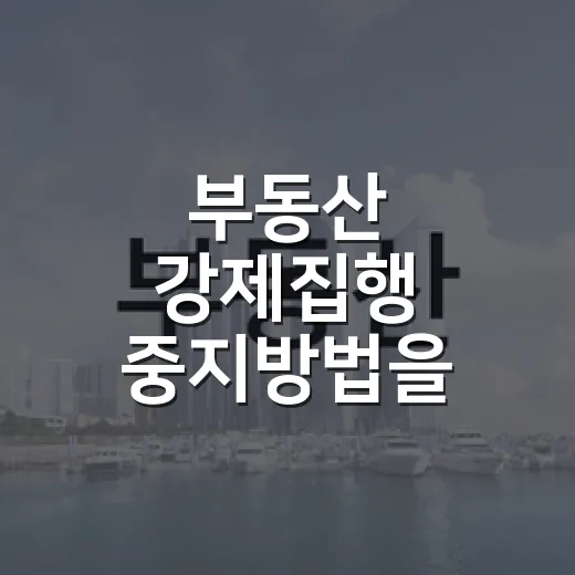 부동산 강제집행 중지방법을 몰라 입찰을 접은 날 - 요약