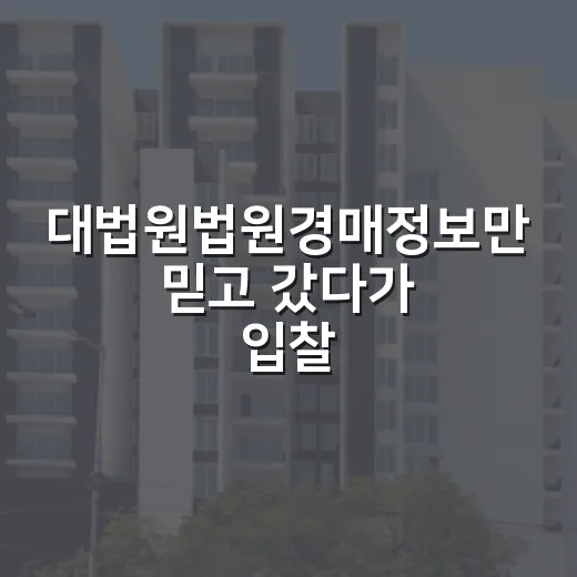 대법원법원경매정보만 믿고 갔다가 입찰을 접은 날 - 요약