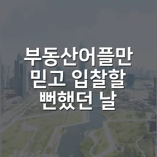 부동산어플만 믿고 입찰할 뻔했던 날 - 요약