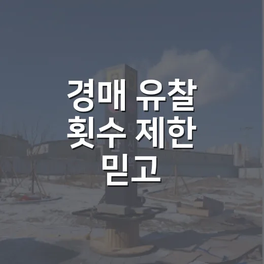 경매 유찰 횟수 제한 믿고 기다렸다가 놓친 물건 - 요약