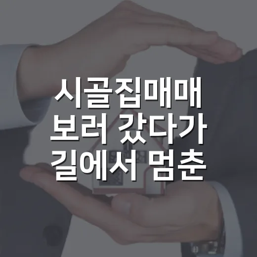 시골집매매 보러 갔다가 길에서 멈춘 이유 - 요약