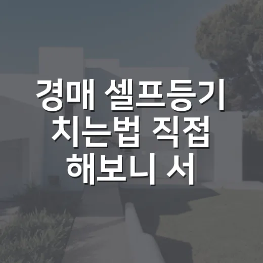 경매 셀프등기 치는법 직접 해보니 서류보다 권리가 무서웠다 - 요약