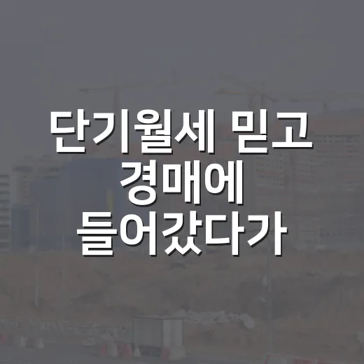 단기월세 믿고 경매에 들어갔다가 계산이 달라졌다 - 요약