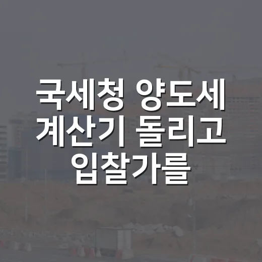 국세청 양도세 계산기 돌리고 입찰가를 낮춘 이유 - 요약