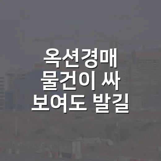 옥션경매 물건이 싸 보여도 발길 돌린 날 - 요약