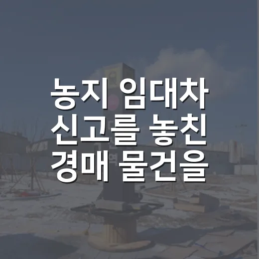 농지 임대차 신고를 놓친 경매 물건을 봤더니 - 요약