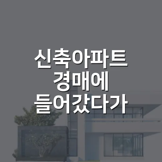 신축아파트 경매에 들어갔다가 가격표를 다시 본 날 - 요약