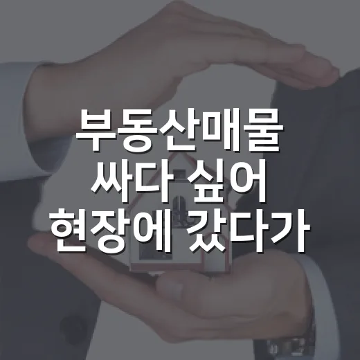 부동산매물 싸다 싶어 현장에 갔다가 입찰표를 접은 날 - 요약