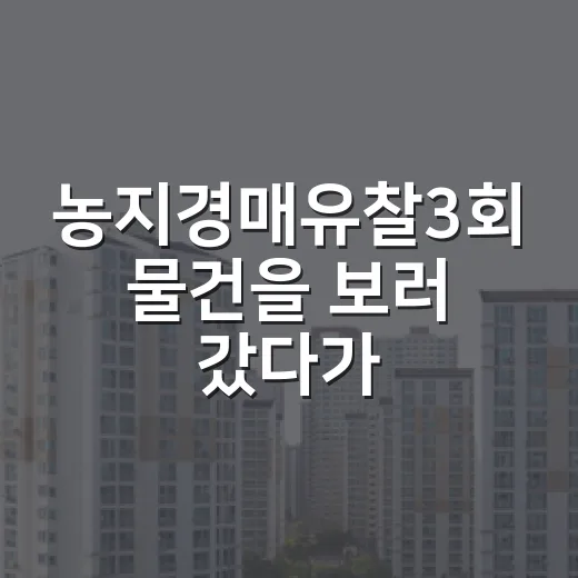 농지경매유찰3회 물건을 보러 갔다가 입찰을 접은 이유 - 요약