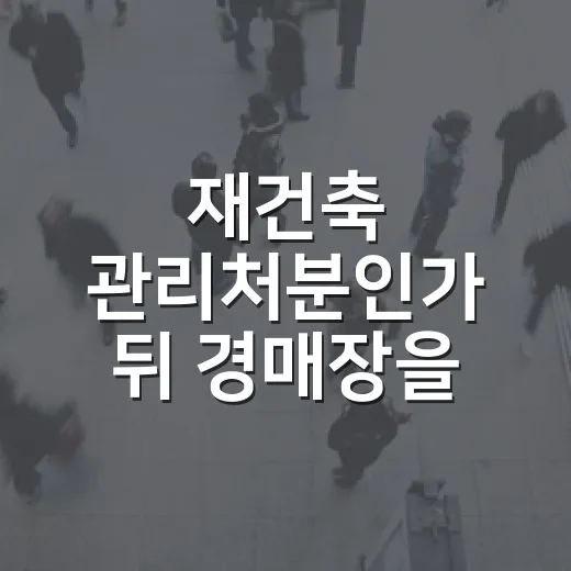 재건축 관리처분인가 뒤 경매장을 다시 봤다 - 요약