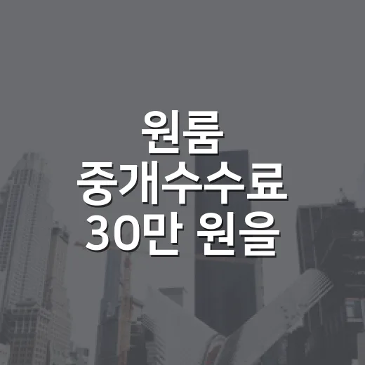 원룸 중개수수료 30만 원을 부르길래 다시 계산했다 - 요약