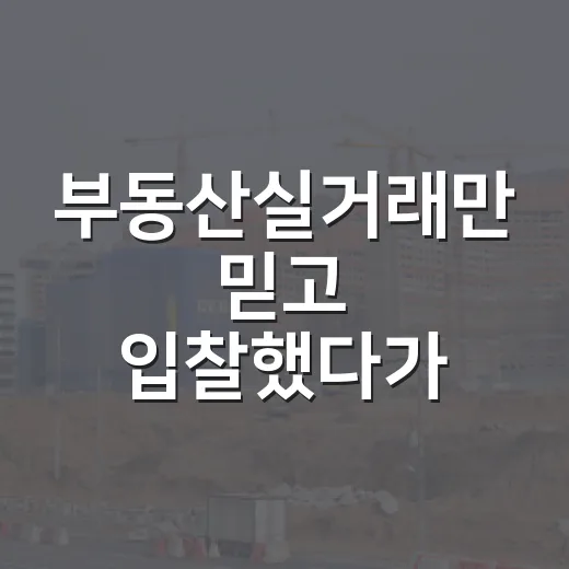 부동산실거래만 믿고 입찰했다가 멈칫한 날 - 요약