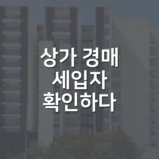 상가 경매 세입자 확인하다 입찰가를 고쳐 쓴 날 - 요약