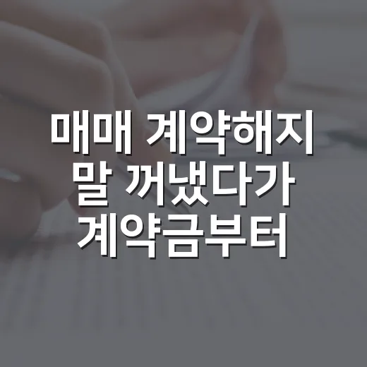 매매 계약해지 말 꺼냈다가 계약금부터 다시 봤습니다 - 요약