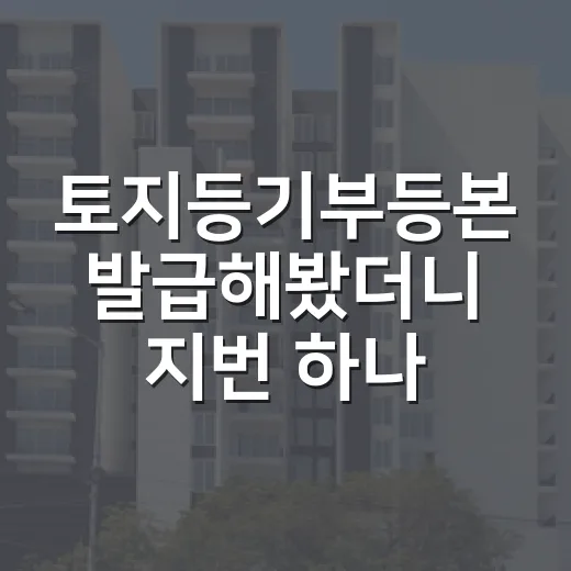 토지등기부등본 발급해봤더니 지번 하나가 달랐다 - 요약