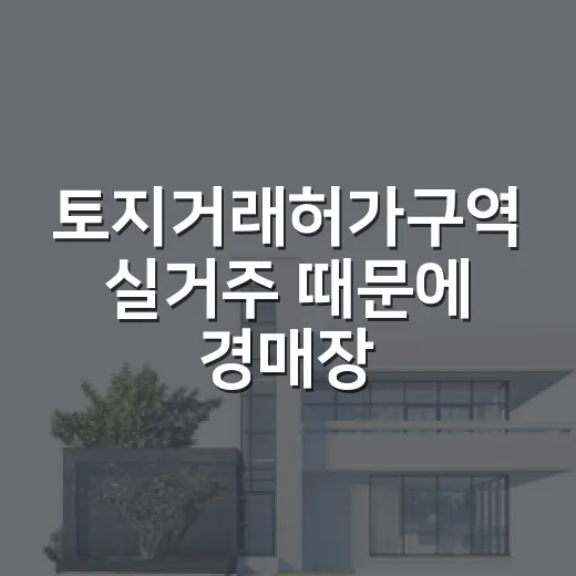 토지거래허가구역 실거주 때문에 경매장을 다시 봤다 - 요약