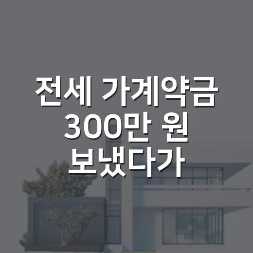 전세 가계약금 300만 원 보냈다가 멈춰 선 이유 - 요약