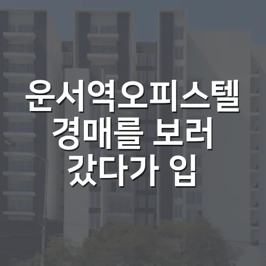 운서역오피스텔 경매를 보러 갔다가 입찰가를 낮춘 이유 - 요약